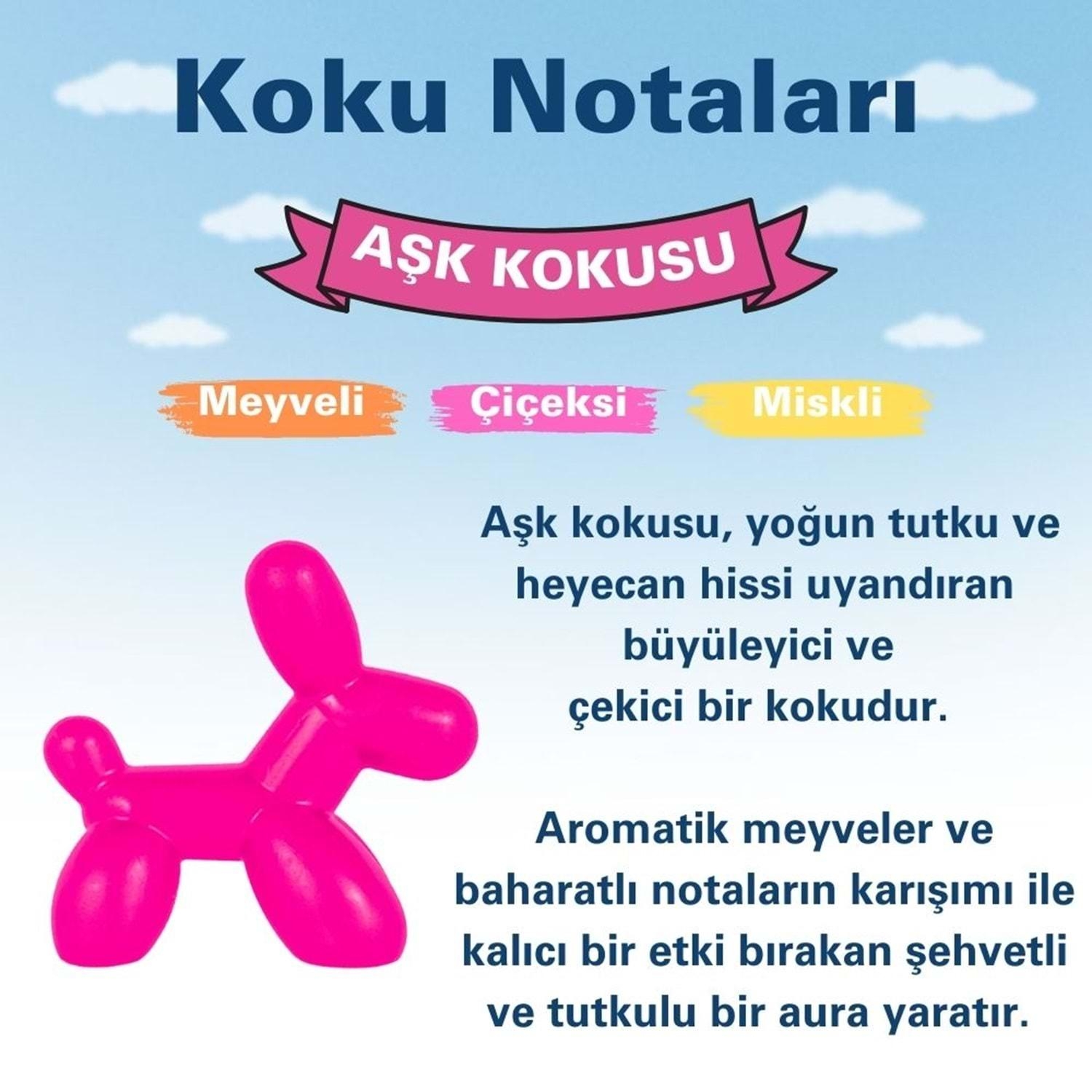 Little Joe Little Dog Aşk Araç Kokusu 45 Gün