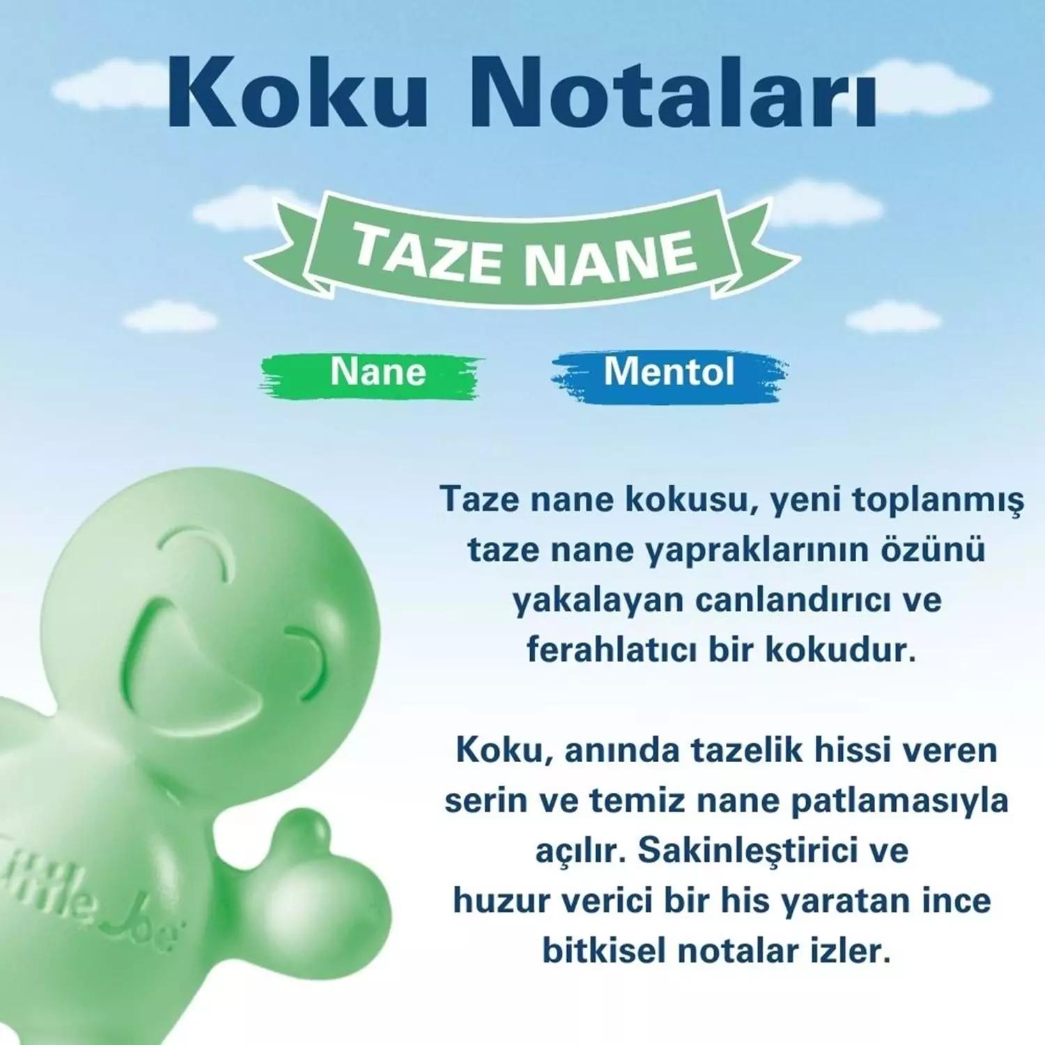 Little Joe Taze Nane Araç Kokusu 45 Gün