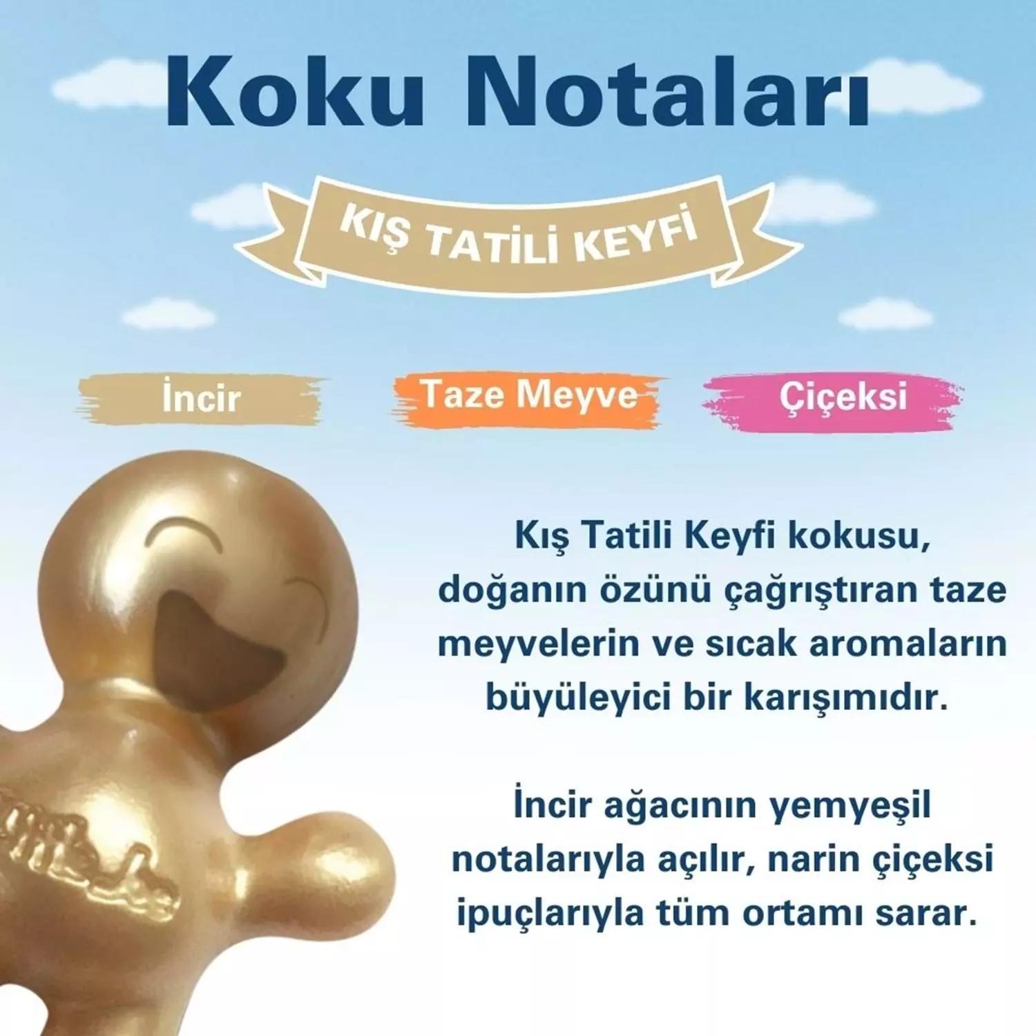 Little Joe Meyve Çiçek Araç Kokusu 45 Gün