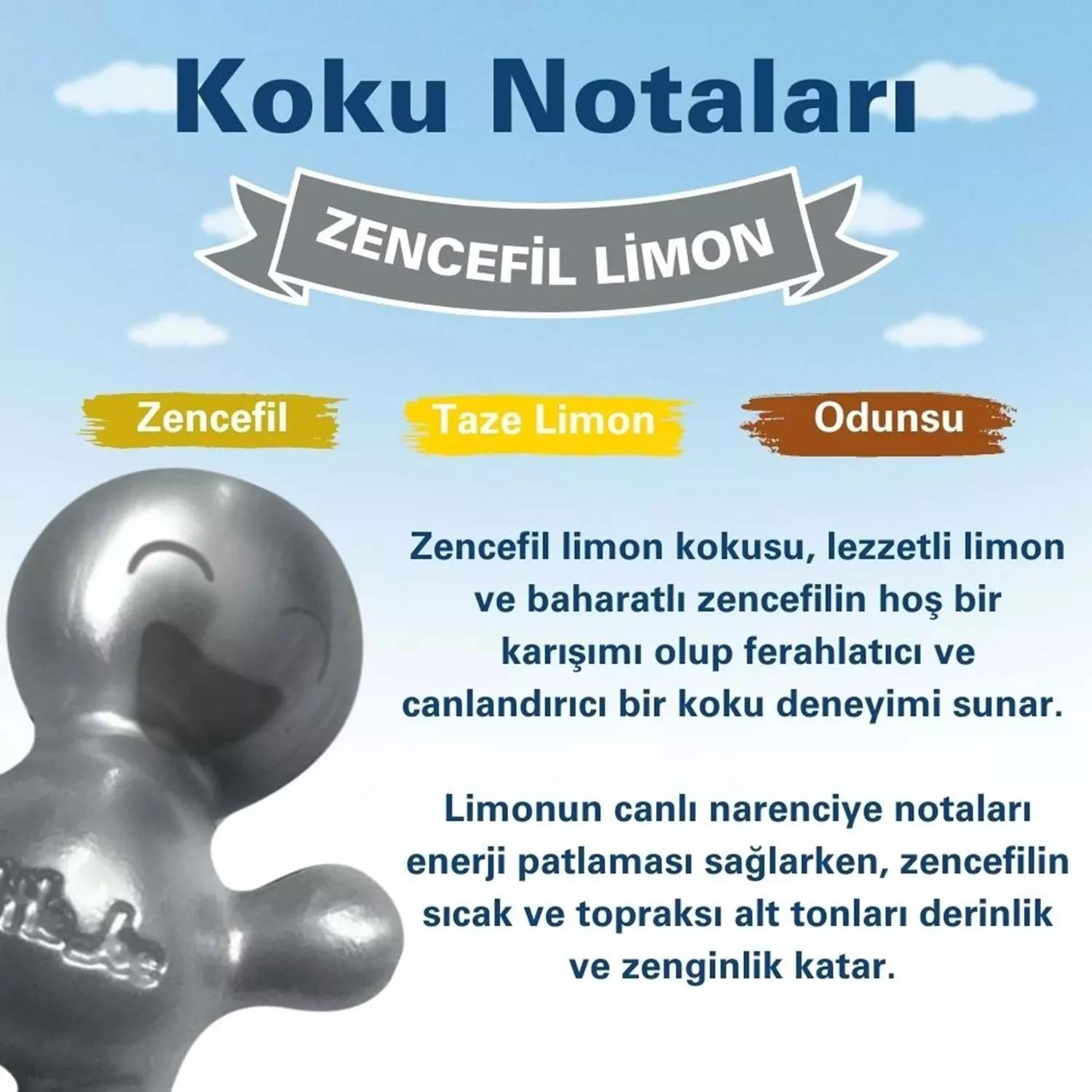 Little Joe Zencefil Limon Araç Kokusu 45 Gün