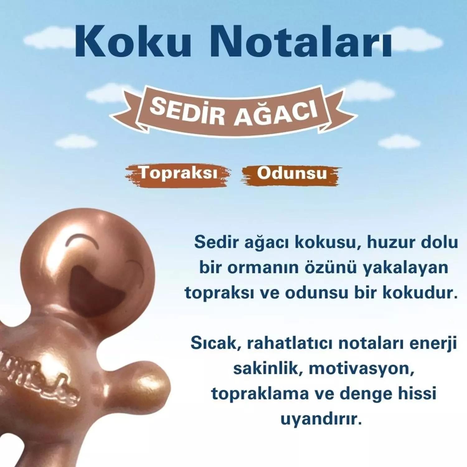 Little Joe Sedir Ağacı Araç Kokusu 45 Gün