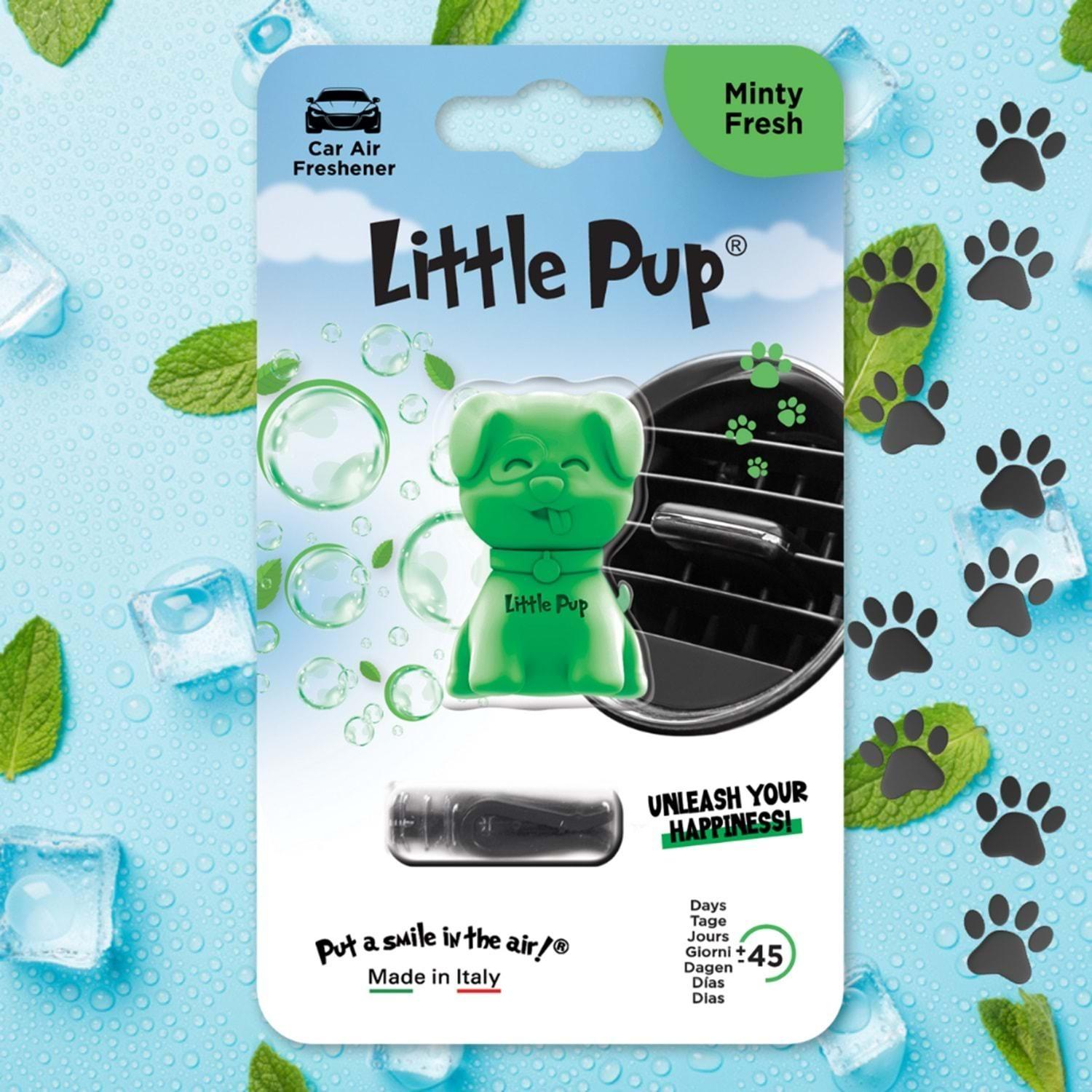 Little Joe Little Pup Taze Nane Araç Kokusu 45 Gün