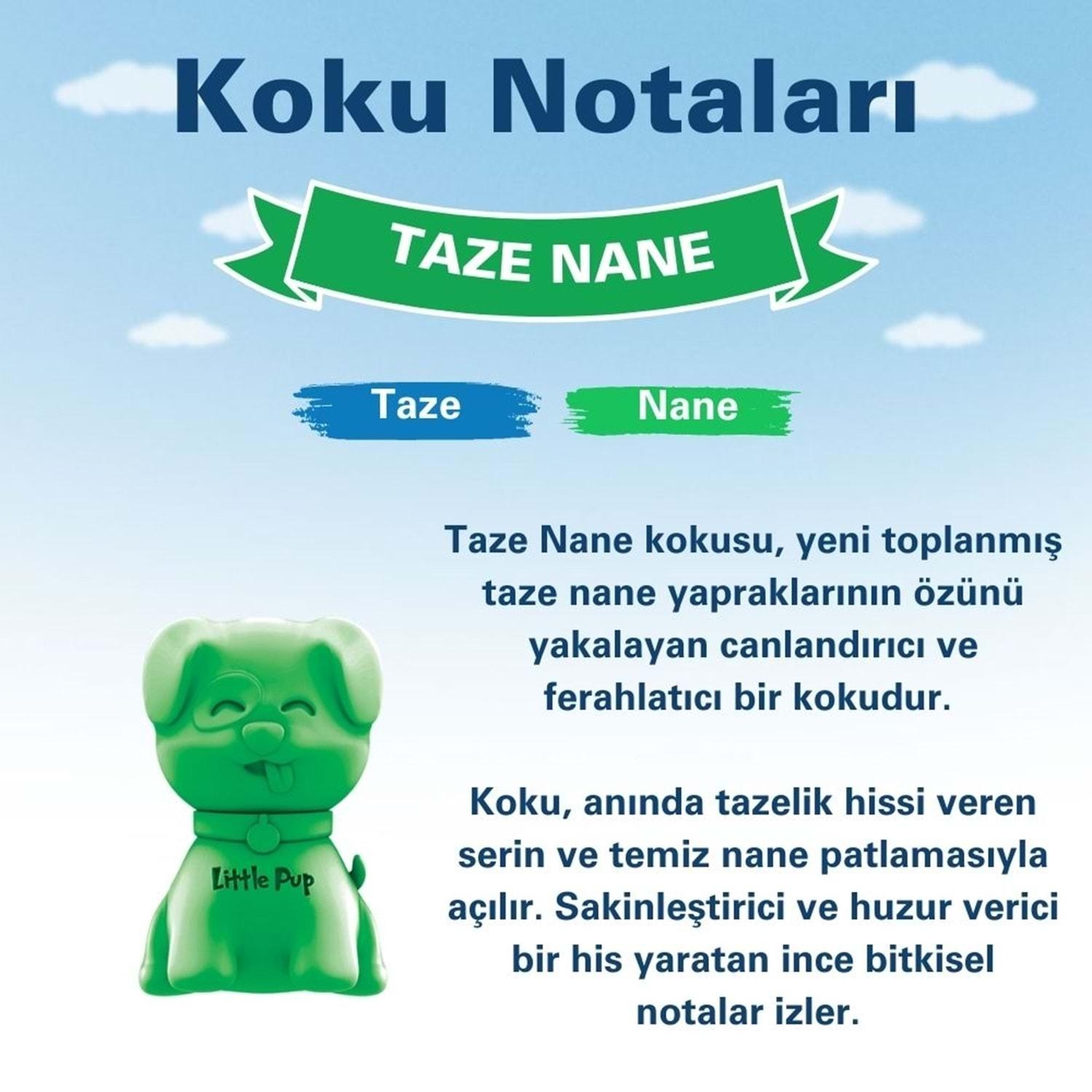 Little Joe Little Pup Taze Nane Araç Kokusu 45 Gün