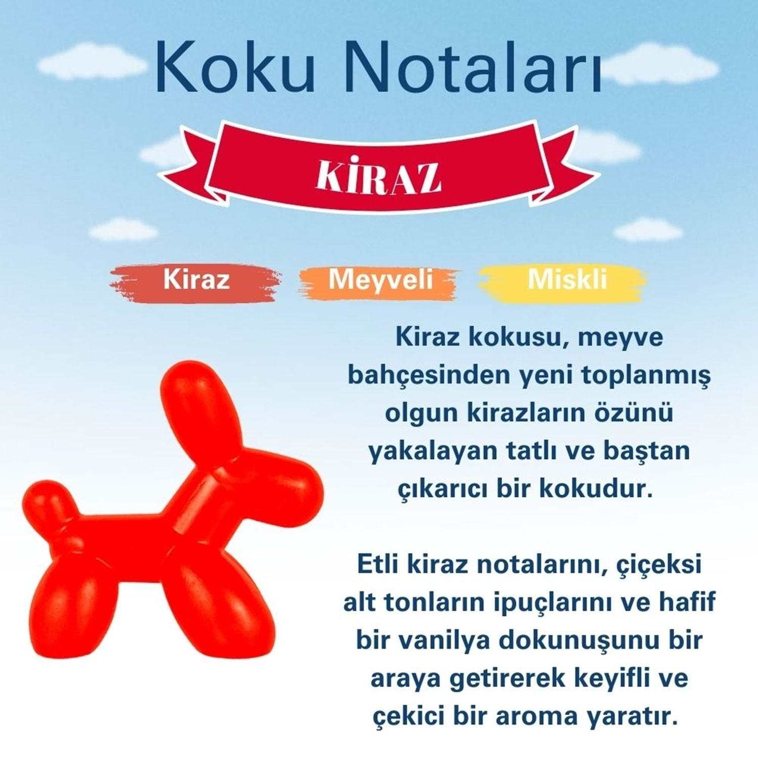 Little Joe Little Dog Kiraz Araç Kokusu 45 Gün
