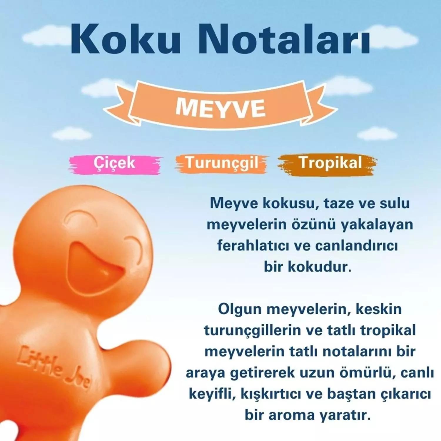 Little Joe Meyve Araç Kokusu 45 Gün