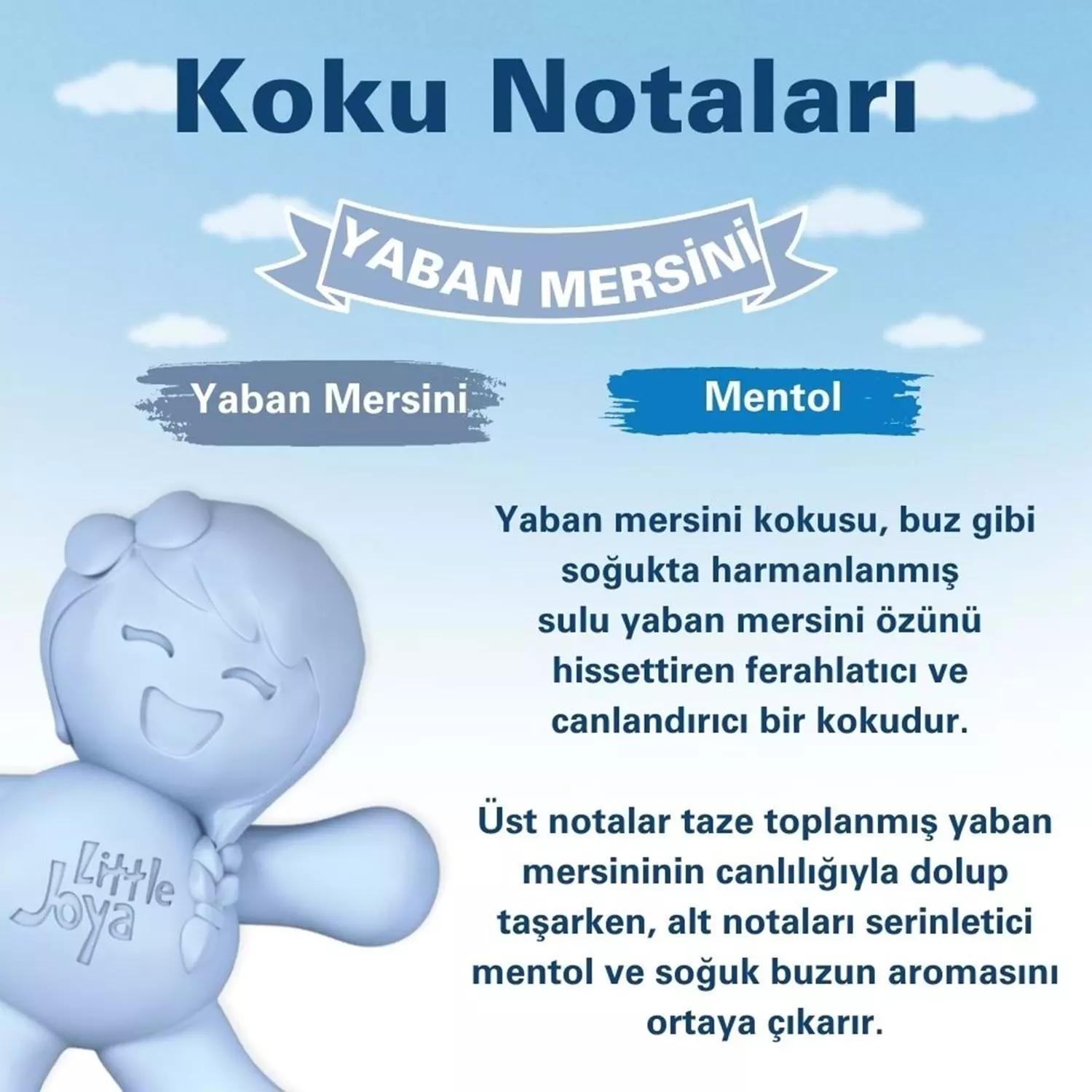 Little Joe Little Joya Yaban Mersini Araç Kokusu 45 Gün