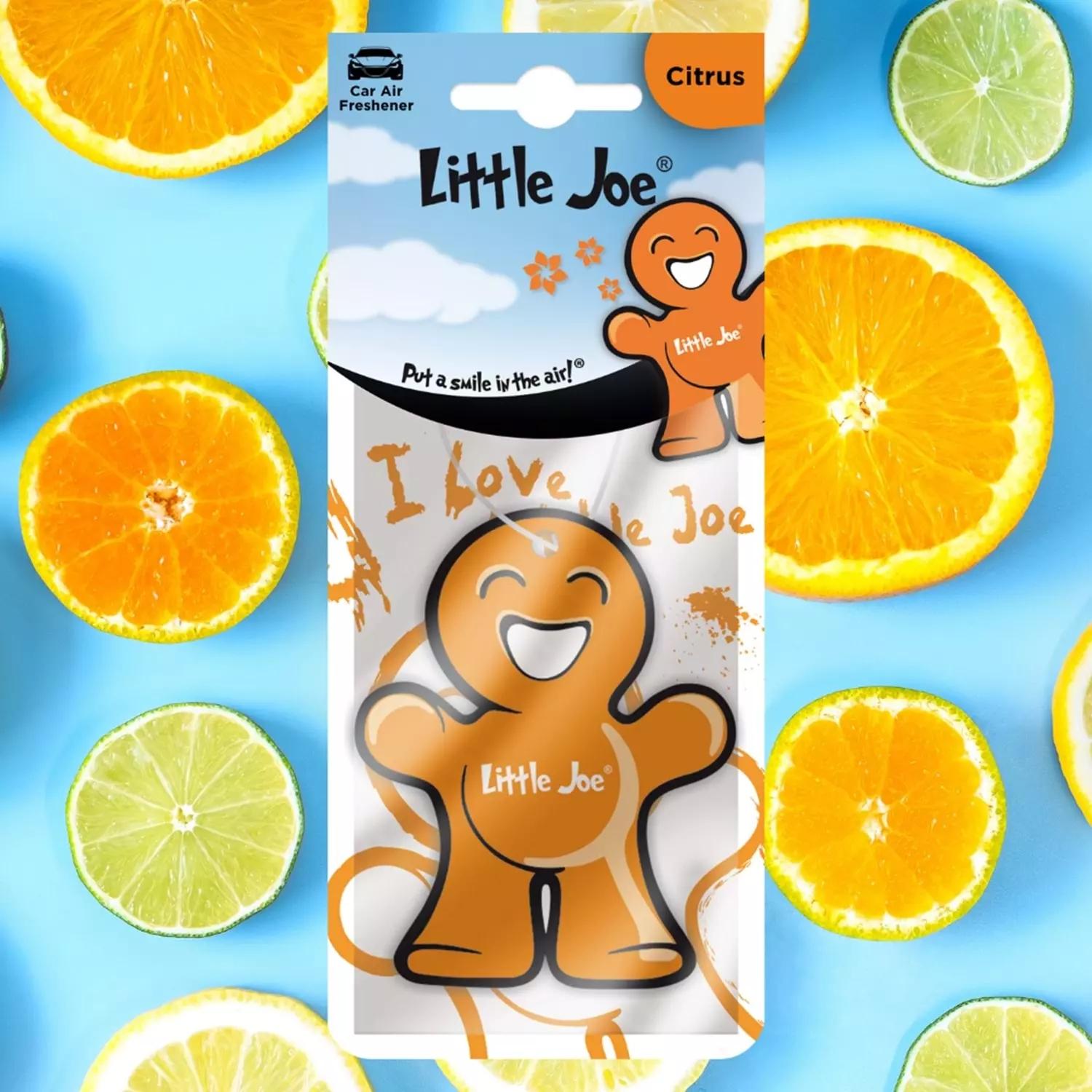 Little Joe Narenciye Araç Asma Koku 30 Gün