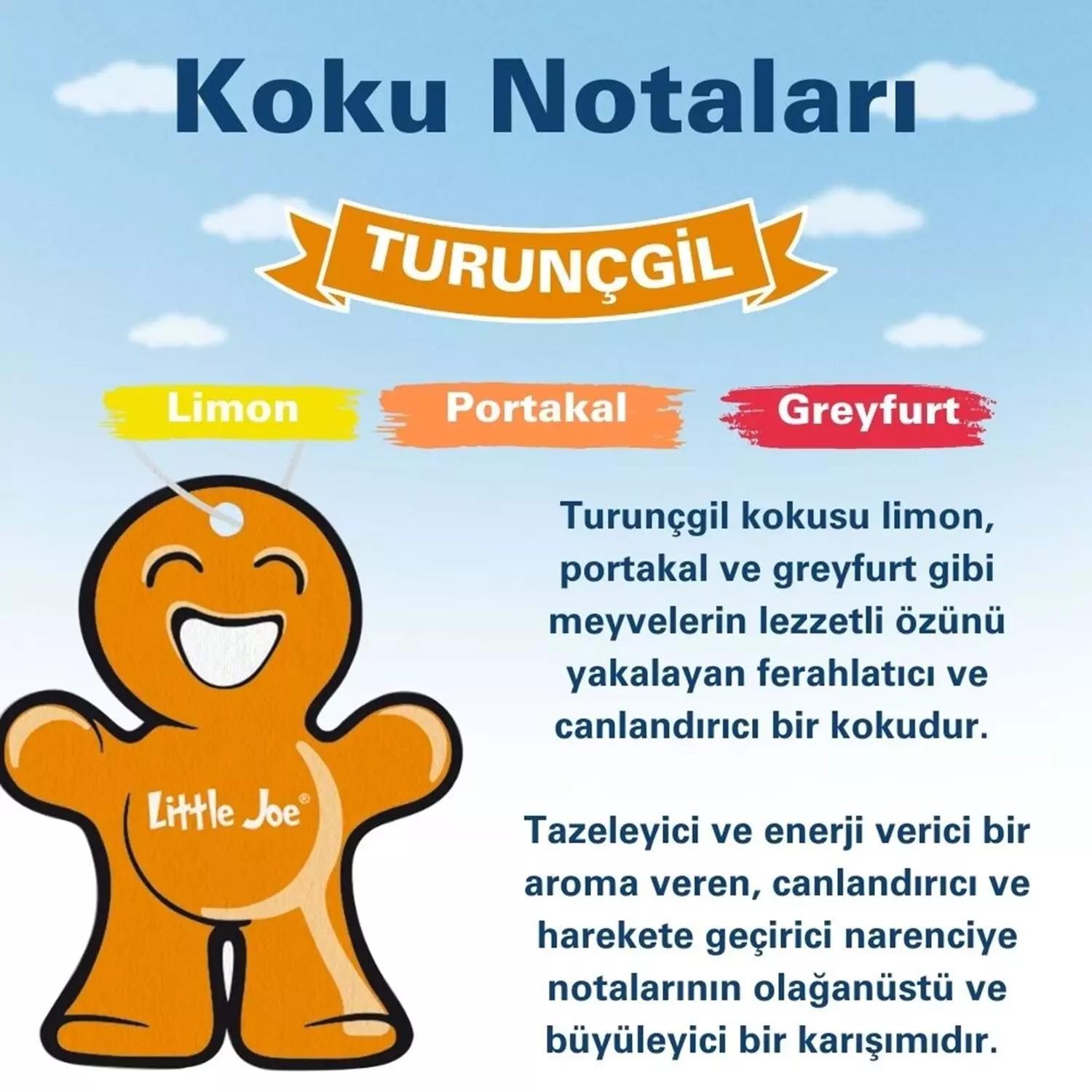 Little Joe Narenciye Araç Asma Koku 30 Gün