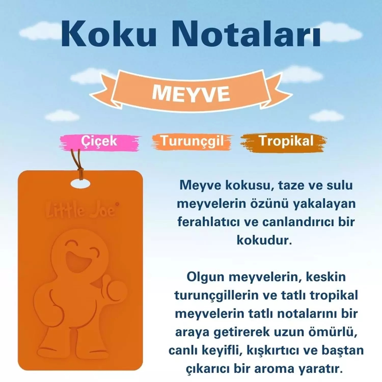 Little Joe Meyve Kokulu Asma Kart Koku 45 Gün