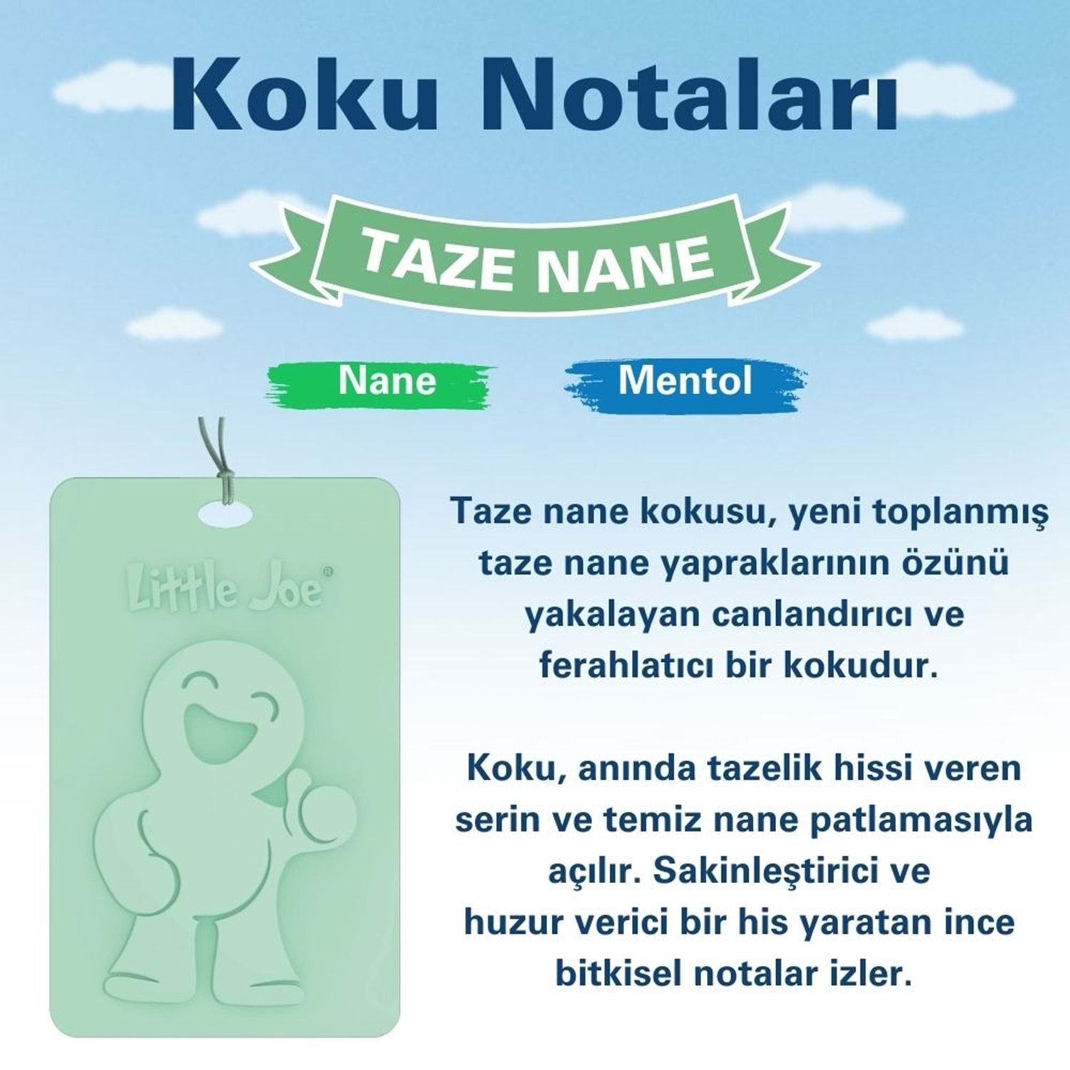 Little Joe Taze Nane Kokulu Asma Kart Koku 45 Gün
